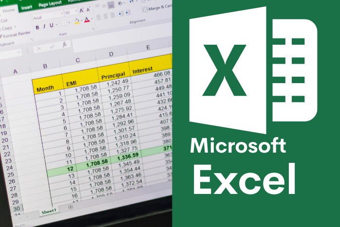 Microsoft Excel Basic